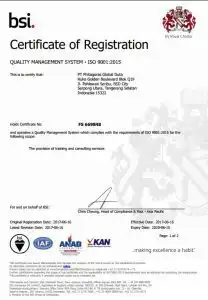 ISO BSI Certficate