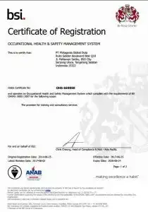 OHSAS BSI Certficate