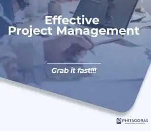 Effective Project Management