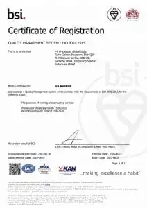 BSI - ISO 9001