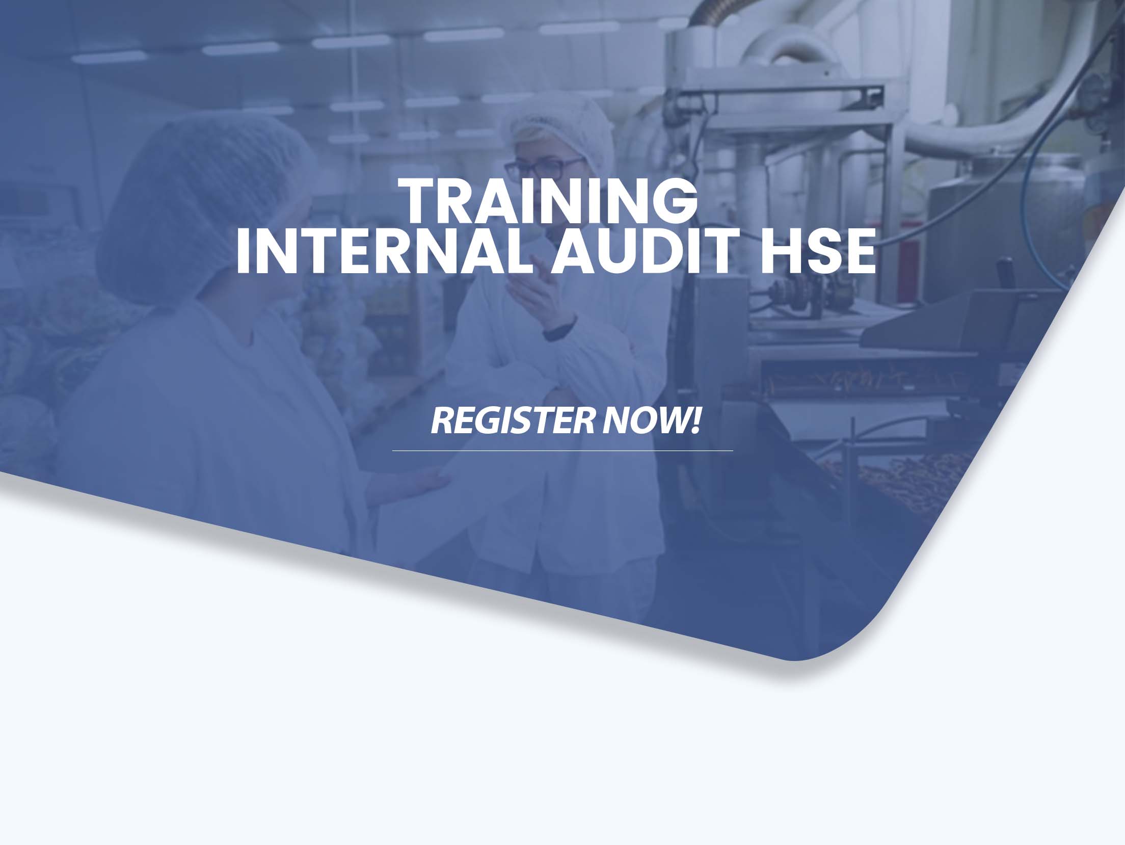 Training Internal Audit HSE