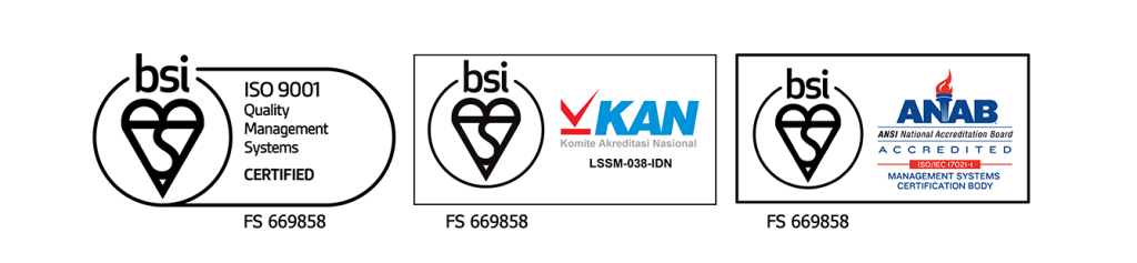 Logo BSI ISO 9001